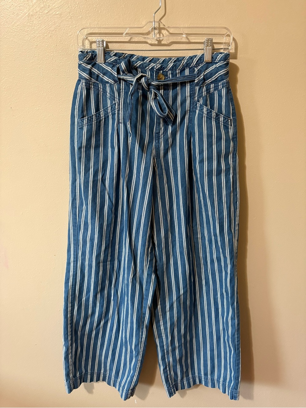 American Eagle Blue & White Striped Wide Leg Pants women’s size 4 100% cotton